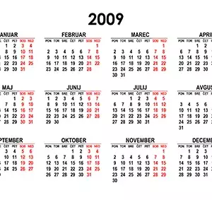 Koledar za leto 2009